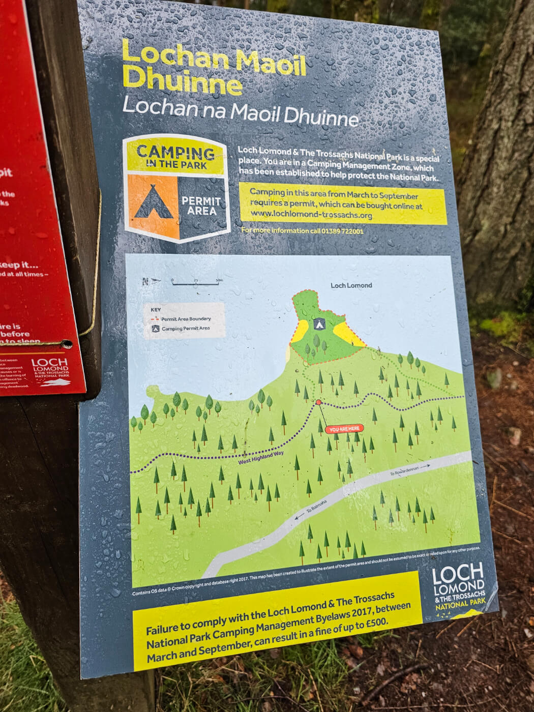 Scottish Wild Camping Laws & Access: What You Need to Know
