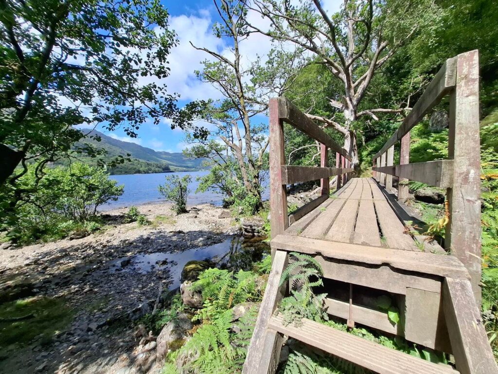Wooden boardwalk section of the West Highland Way along Loch Lomond