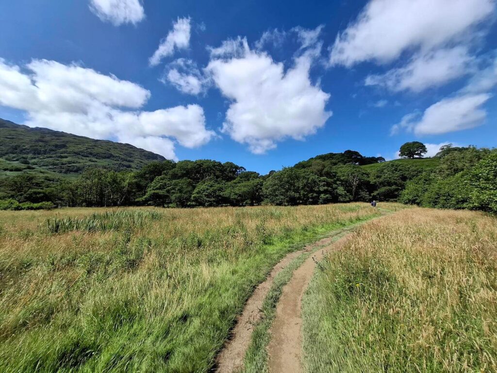 Continuing north on the West Highland Way during Day 2 beside Loch Lomond