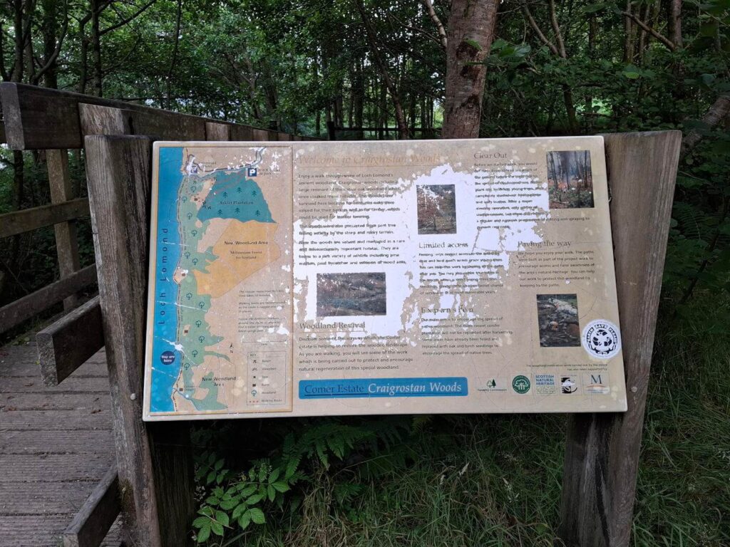 Woodland trail near Craigrostan on the West Highland Way