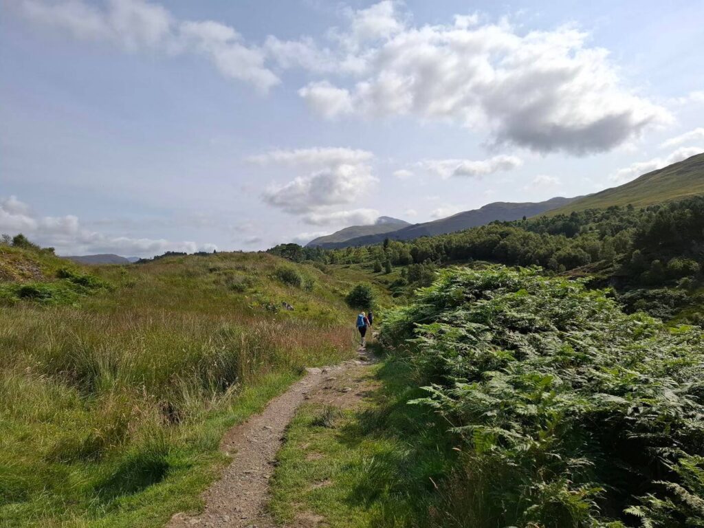 Early morning path through ferns and heather on the WHW