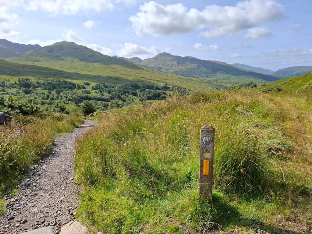 Yellow waymark post beside a narrow trail lined with grass